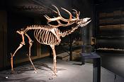 naturalis 9-2021 9596